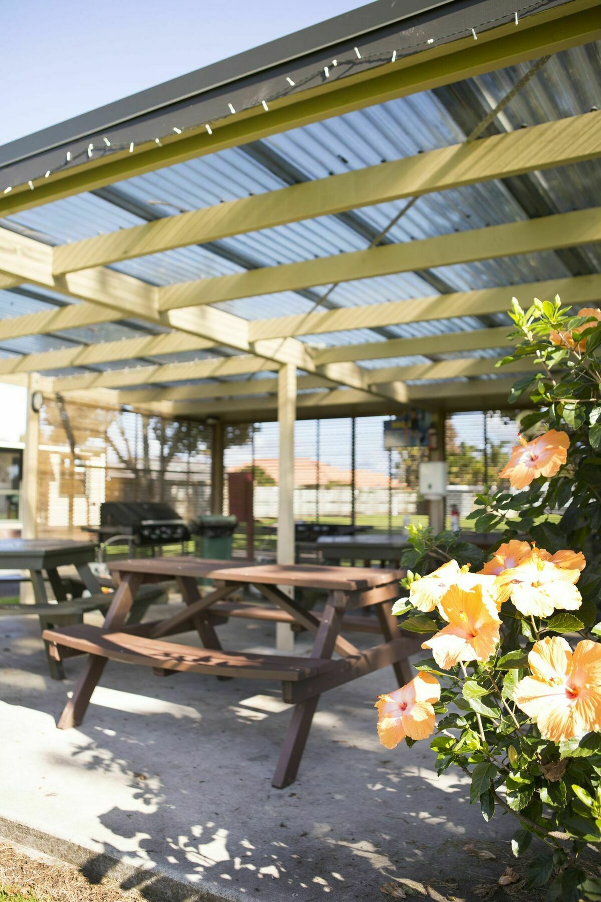 Mercury Bay Holiday Park Whitianga Dış mekan fotoğraf